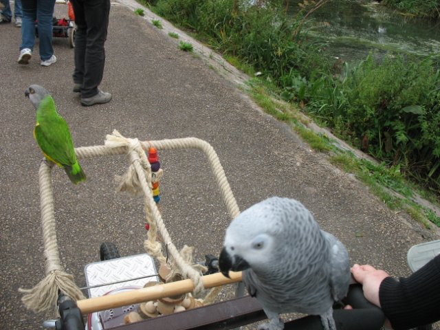 2011-09-11 Kralingsebos